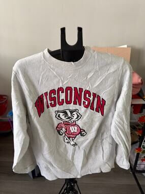 Wisconsin College Unisex Sweater
